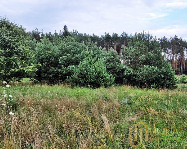 Działka Sprzedaż Lewickie-Stacja