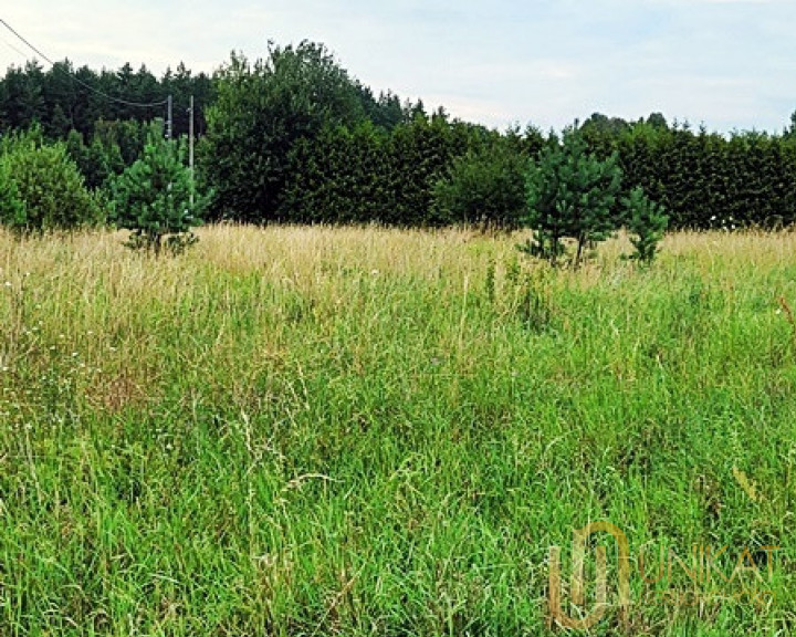 Działka Sprzedaż Lewickie-Stacja